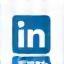Icona LinkedIn